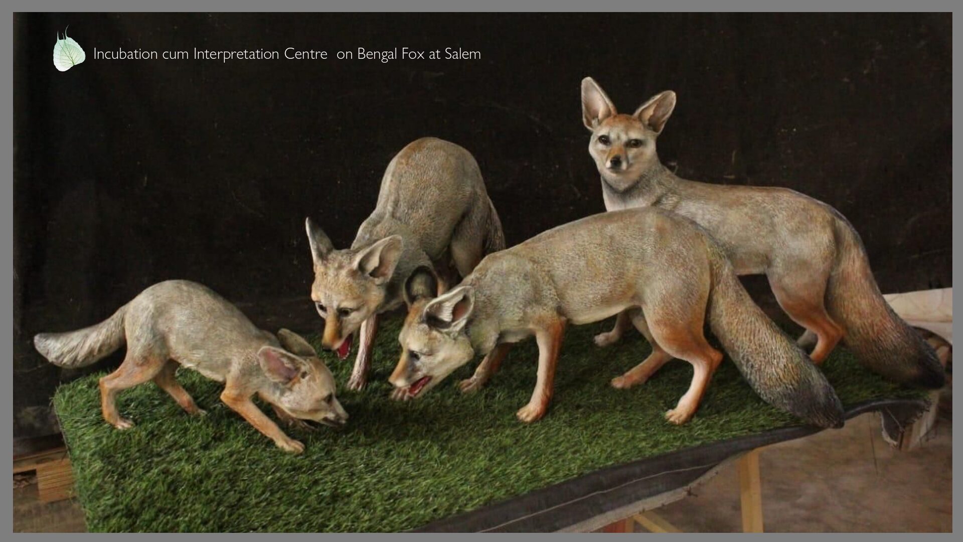 Exhibits